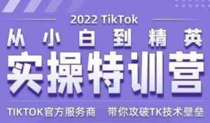 Seven漆《Tiktok从小白到精英实操特训营》带你掌握Tiktok账号运营-创业资源网