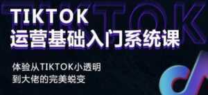 《Tiktok运营基础入门系统课》从tiktok小白到大佬的完美蜕变-创业资源网
