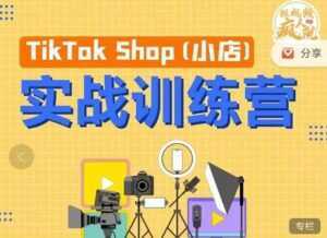 疯人院《TIKTOK SHOP小店实战训练营》海外小店带货,从0到1掌握TK小店运营-创业资源网