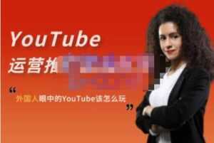 ELISA《YouTube运营推广实战技巧》外国人眼中的YOUTUBE该怎么玩-创业资源网