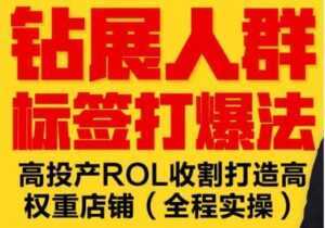 逐鹿《淘宝钻展人群标签打爆法》高投产ROL收割打造高权重店铺(全程实操)-创业资源网