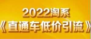 茂隆《直通车低价引流》教你低投入,高回报的直通车玩法-创业资源网