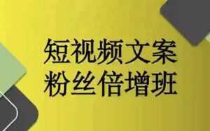 阳洋《短视频文案粉丝倍增班》培训课程视频-创业资源网