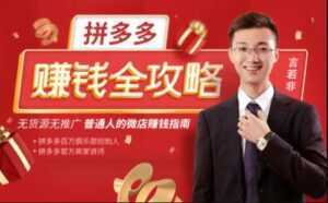言若非《拼多多赚钱全攻略》培训课程,带你玩赚拼多多,每月多赚3万块-创业资源网