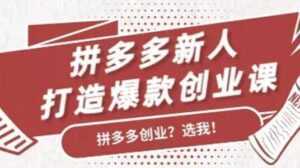 拼多多新人打造爆款创业课程,快速引流持续出单-创业资源网