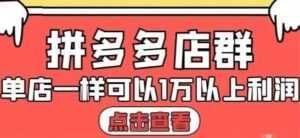 大凯电商《拼多多店群运营》单店一样可以产出1万5以上利润-创业资源网