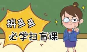 《拼多多商家开店入门教程》0基础新手小白扫盲课-创业资源网