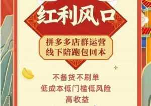 左右电商《拼多多无货源店群玩法》从0~1实战保姆教程,极速起店必出单-创业资源网