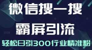 《微信搜一搜霸屏引流课》被动精准引流,轻松日引300行业精准粉-创业资源网