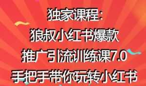 小红书怎么推广,狼叔小红书爆款推广引流7.0,带你玩转小红书推广-创业资源网