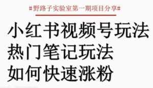 小红书视频号项目,直接上手操作,月入过万-创业资源网