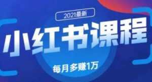 九京小红书精准引流技术1.0,教你利用小红书快速获取客源-创业资源网