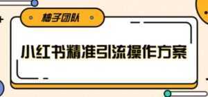 小红书精准引流操作方案,能够直接落地实操引流技术-创业资源网
