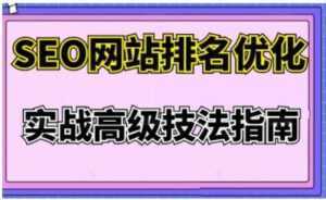 樊天华《SEO网站排名优化》实战高级技法指南-创业资源网