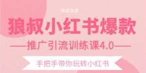 狼叔小红书爆款推广引流训练课4.0,手把手带你玩转小红书-创业资源网