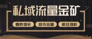 价值2200元私域流量的金矿,循环获取各大媒体精准流量,无限复制网红的精准流量!-创业资源网