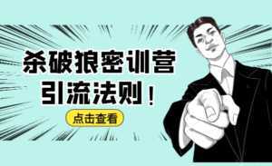 杀破狼密训营：B站霸屏引流的原理及方式+搭建赚钱的内容法则-创业资源网