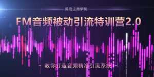 黄岛主·FM音频引流特训营2.0:独家引流模式,单账号50W+播放量,轻松变现-创业资源网