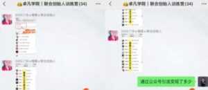 何公子:7天玩转微信公众号被动引流系统,日引100+精准流量-创业资源网