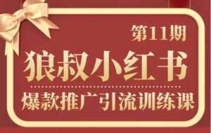 狼叔小红书爆款推广引流训练课第11期,手把手带你玩转小红书-创业资源网