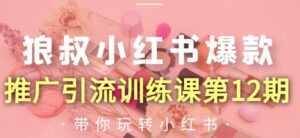 狼叔小红书爆款推广引流训练课第12期,手把手带你玩转小红书-创业资源网