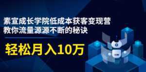 素宣成长学院低成本获客变现营,教你流量源源不断的秘诀,轻松月入10万-创业资源网