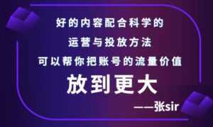 张sir账号流量增长课,告别海王流量,让你的流量更精准-创业资源网
