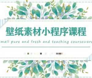 闪闪壁纸号运营教程,抓住图文风口,快速吸粉变现-创业资源网