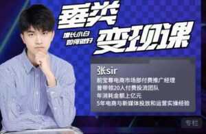 张sir·垂类变现课,抖音带货新手才看粉丝量,高手都看变现效率-创业资源网