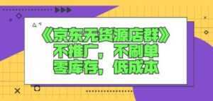 诺思星商学院京东无货源店群课：不推广，不刷单，零库存，低成本-创业资源网