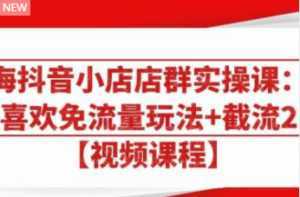 大海抖音小店店群实操课:猜你喜欢免流量玩法+截流 2.0-创业资源网