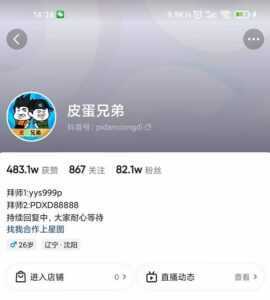 沙雕动画-皮蛋兄弟·熊猫人动画教学制作,全套素材文案教程分享!-创业资源网