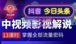 嚴如意·中视频影视解说—掌握流量密码,自媒体运营创收,批量运营账号-创业资源网