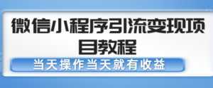 微信小程序引流变现项目教程,当天操作当天就有收益,变现不再是难事-创业资源网