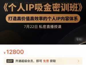 个人IP吸金密训班,打造高价值高效率的个人IP内容体系(价值12800元)-创业资源网