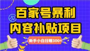 百家号暴利内容补贴项目，图文10元一条，视频30一条，新手小白日赚300+-创业资源网