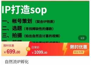 瑶瑶·自然流IP孵化,系统掌握IP孵化全流程,也能学到选题,剪辑,账号运营经验-创业资源网