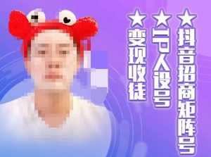 抖音招商矩阵号+IP人设号+变现收徒,教你如何做抖音,通过抖音如何变现-创业资源网