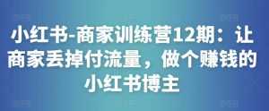 小红书-商家训练营12期：让商家丢掉付流量，做个赚钱的小红书博主-创业资源网