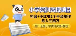 唐老师小学资料变现项目,抖音+小红书2个平台操作,月入数万元(全套资料+教程)-创业资源网