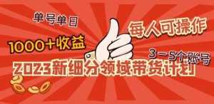 2023新细分领域带货计划:单号单日1000+收益不难,每人可操作3-5个账号-创业资源网