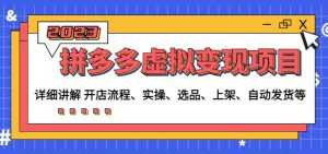 程哥拼多多虚拟变现项目:讲解开店流程-实操-选品-上架-自动发货等-创业资源网