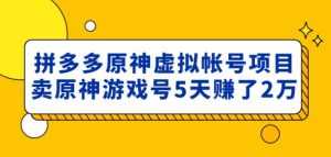 外面卖2980的拼多多原神虚拟帐号项目：卖原神游戏号5天赚了2万-创业资源网