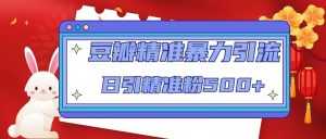 豆瓣精准暴力引流,日引精准粉500+【12课时】-创业资源网