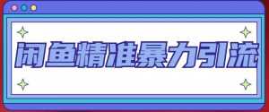 闲鱼精准暴力引流全系列课程,每天被动精准引流100+粉丝-创业资源网