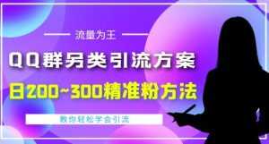 价值888的QQ群另类引流方案,半自动操作日200~300精准粉方法【视频教程】-创业资源网