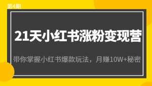 21天小红书涨粉变现营（第4期）：带你掌握小红书爆款玩法，月赚10W+秘密-创业资源网