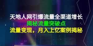 天地人网引爆流量全渠道增长:揭秘流量突然破点,流量变现,月入上亿案例-创业资源网