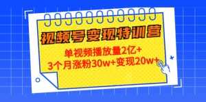 21天视频号变现特训营:单视频播放量2亿+3个月涨粉30w+变现20w+(第14期)-创业资源网