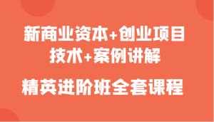 新商业资本+创业项目,技术+案例讲解,精英进阶班全套课程-创业资源网